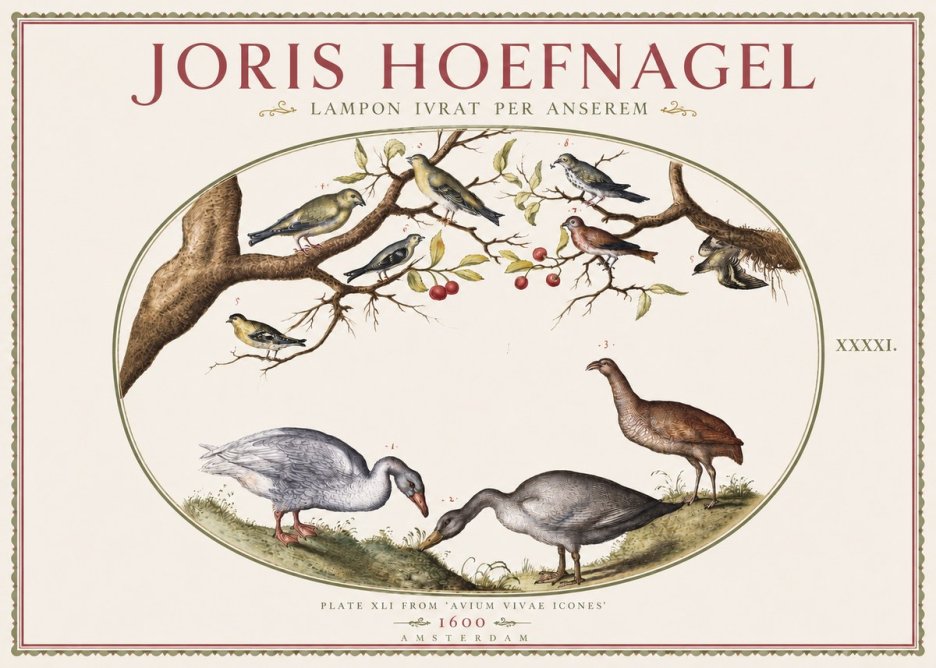 Joris Hoefnagel Lampon Ivrat per Anserem No3 - Plakat