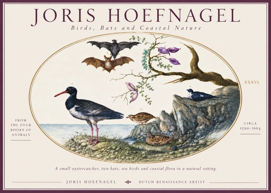 Joris Hoefnagel Birds, Bats and Coastal Nature No6 - Plakat
