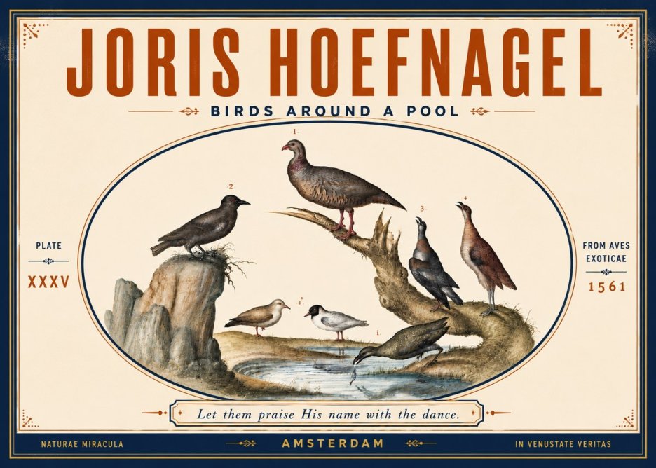 Joris Hoefnagel Birds Around a Pool No5 - Plakat