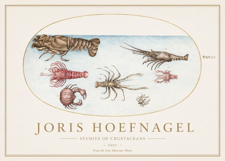 Joris Hoefnagel Studies of Crustaceans No1 - Plakat