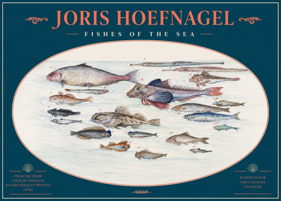 Joris Hoefnagel Fishes of the Sea III No2 - Plakat