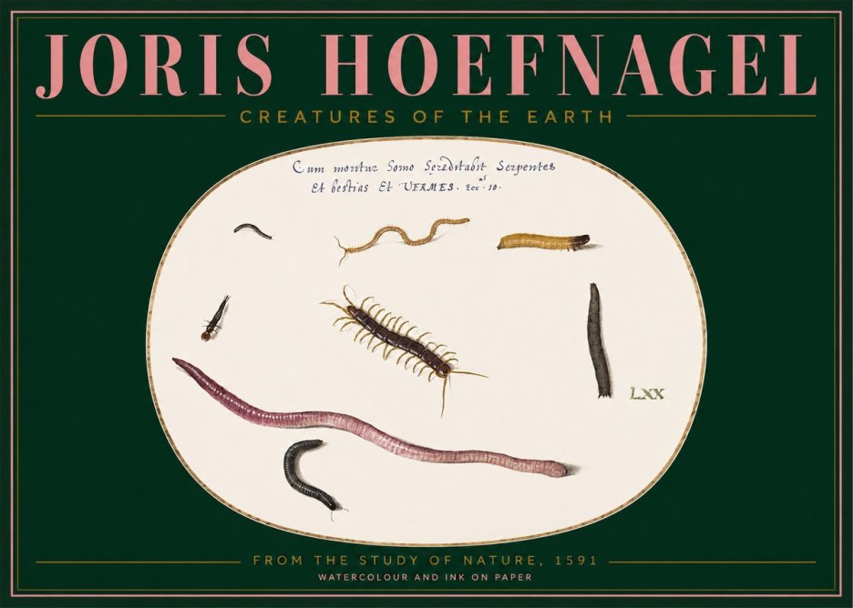 Joris Hoefnagel Creatures of the Earth II No2 - Plakat