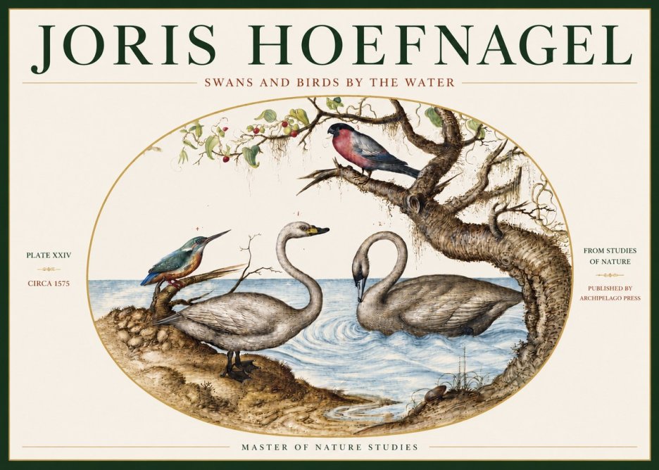 Joris Hoefnagel Swans and Birds by the Water No3 - Plakat