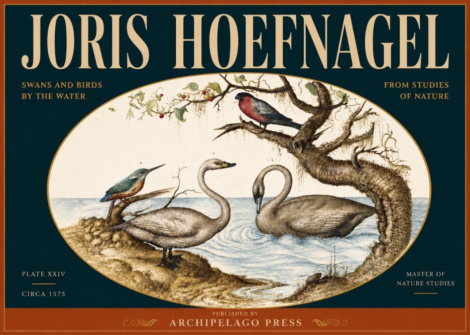 Joris Hoefnagel Swans and Birds by the Water No5 - Plakat