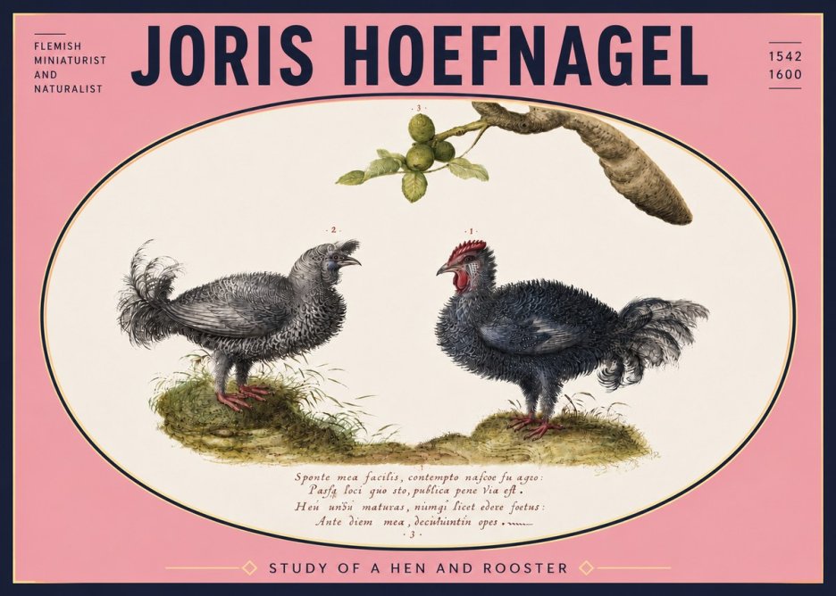 Joris Hoefnagel Study of a Hen and Rooster No5 - Plakat