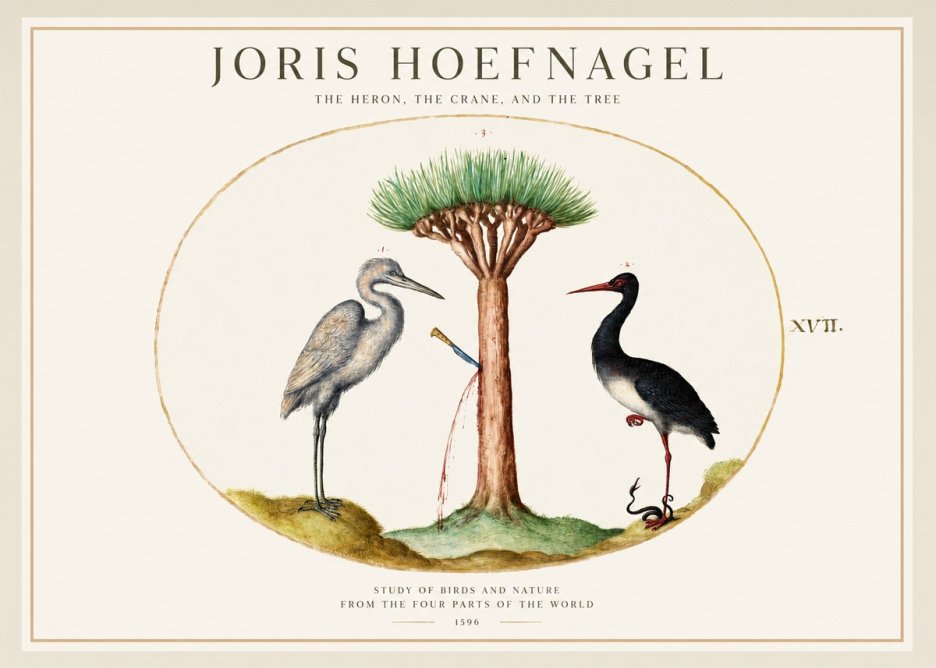 Joris Hoefnagel The Heron, the Crane, and the Tree No1 - Plakat