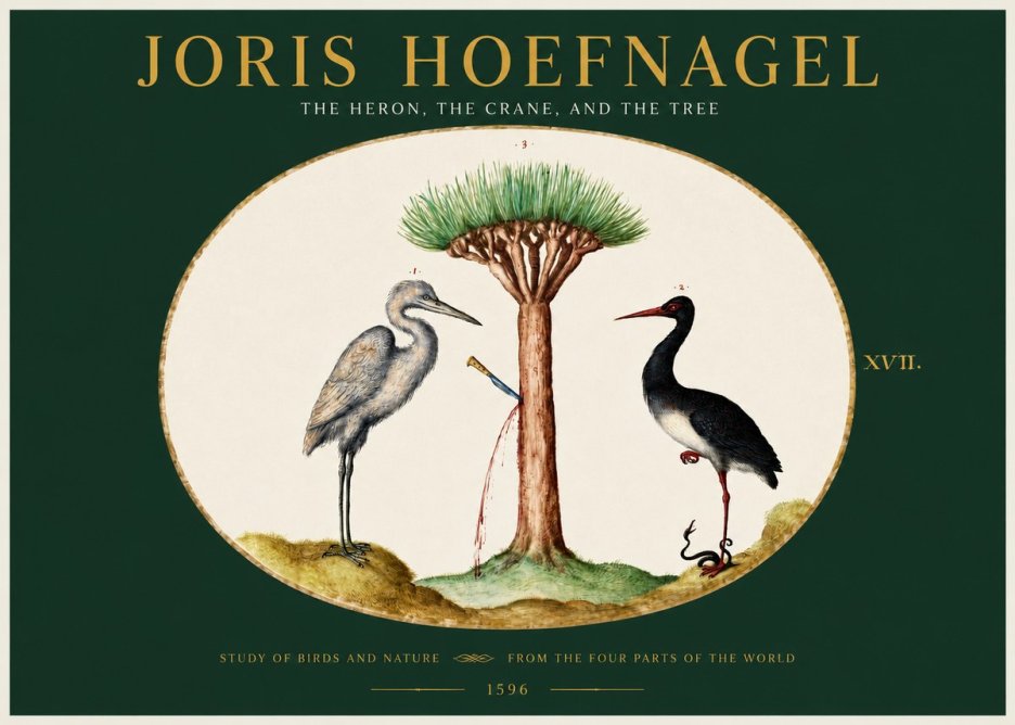 Joris Hoefnagel The Heron, the Crane, and the Tree No2 - Plakat