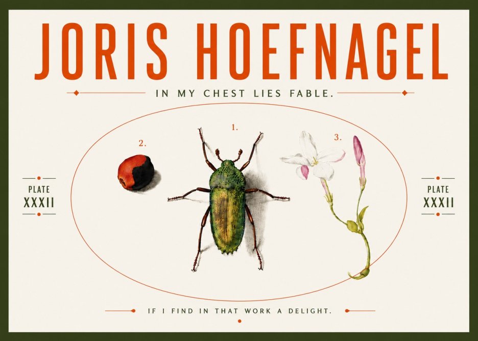 Joris Hoefnagel In My Chest Lies Fable No5 - Plakat