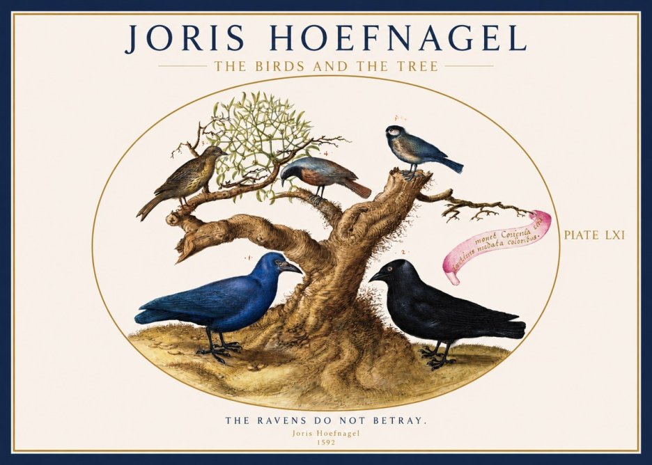 Joris Hoefnagel The Birds and the Tree No1 - Plakat
