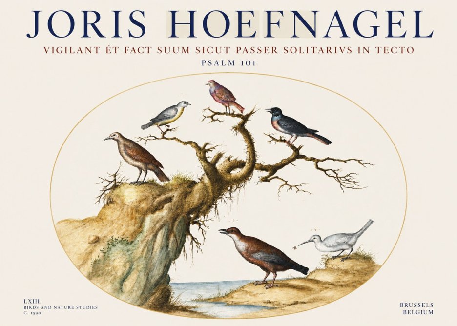 Joris Hoefnagel Vigilant Et Fact Suum Sicut Passer Solitarius in Tecto No3 - Plakat