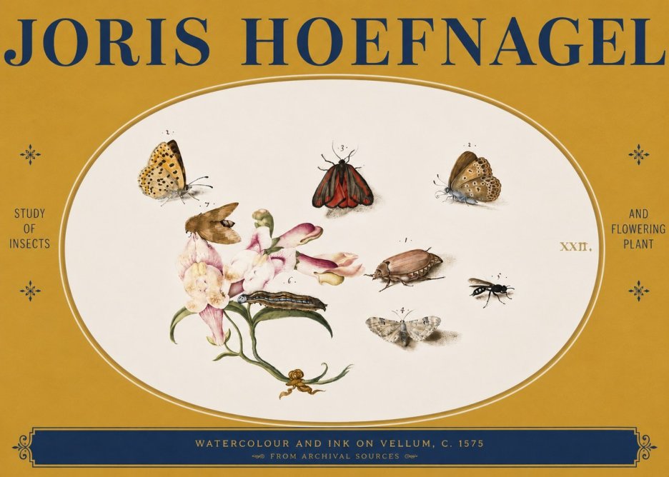 Joris Hoefnagel Study of Insects and Flowering Plant No3 - Plakat