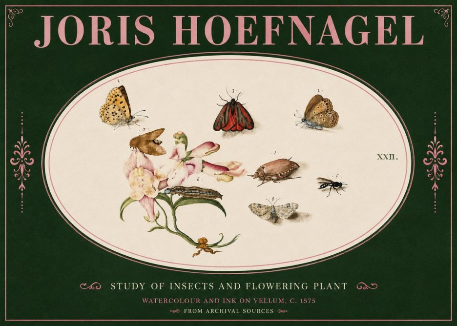 Joris Hoefnagel Study of Insects and Flowering Plant No4 - Plakat