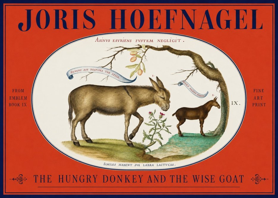 Joris Hoefnagel The Hungry Donkey and the Wise Goat No2 - Plakat