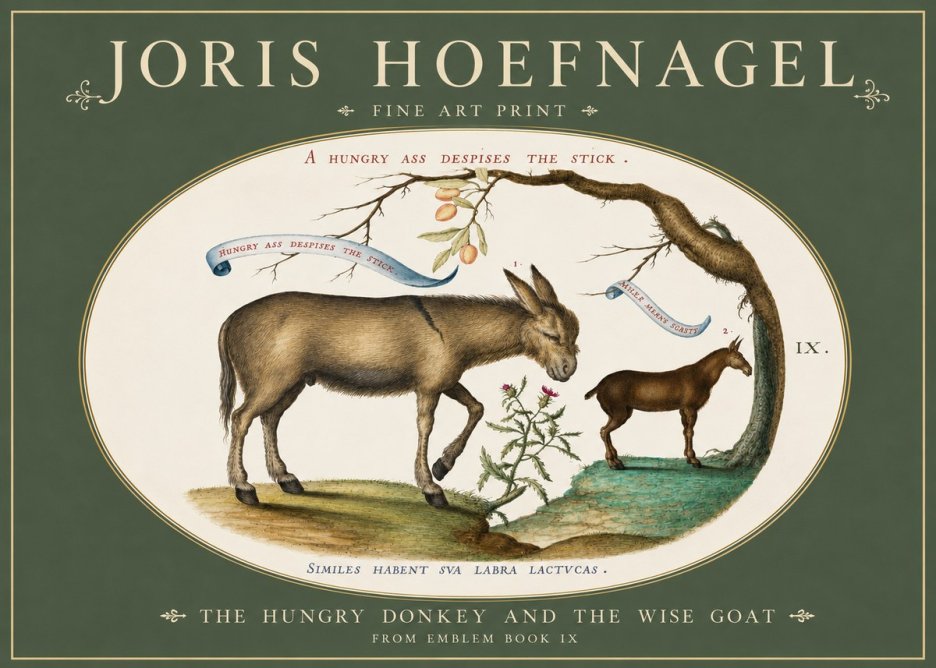Joris Hoefnagel The Hungry Donkey and the Wise Goat No3 - Plakat