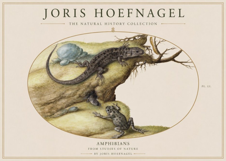 Joris Hoefnagel Amphibians from Studies of Nature No1 - Plakat