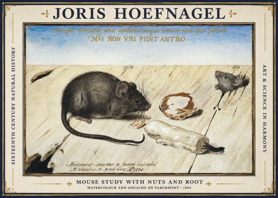 Joris Hoefnagel Mouse Study with Nuts and Root No1 - Plakat