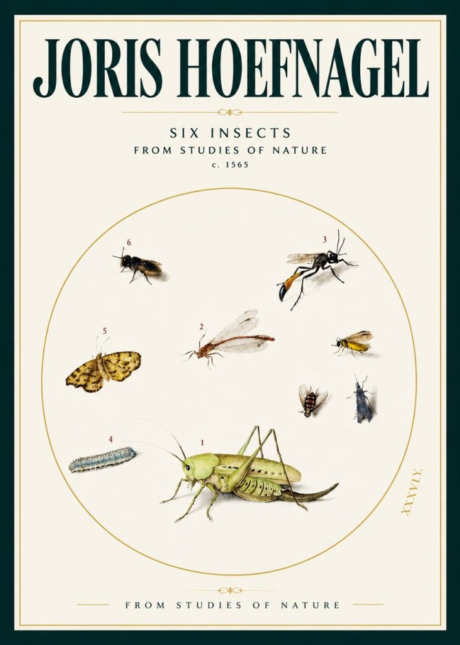 Joris Hoefnagel Six Insects from Studies of Nature C. 1565 No2 - Plakat