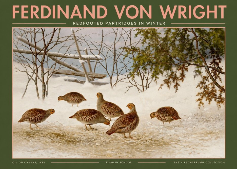Ferdinand von Wright Redfooted Partridges in Winter No2 - Plakat