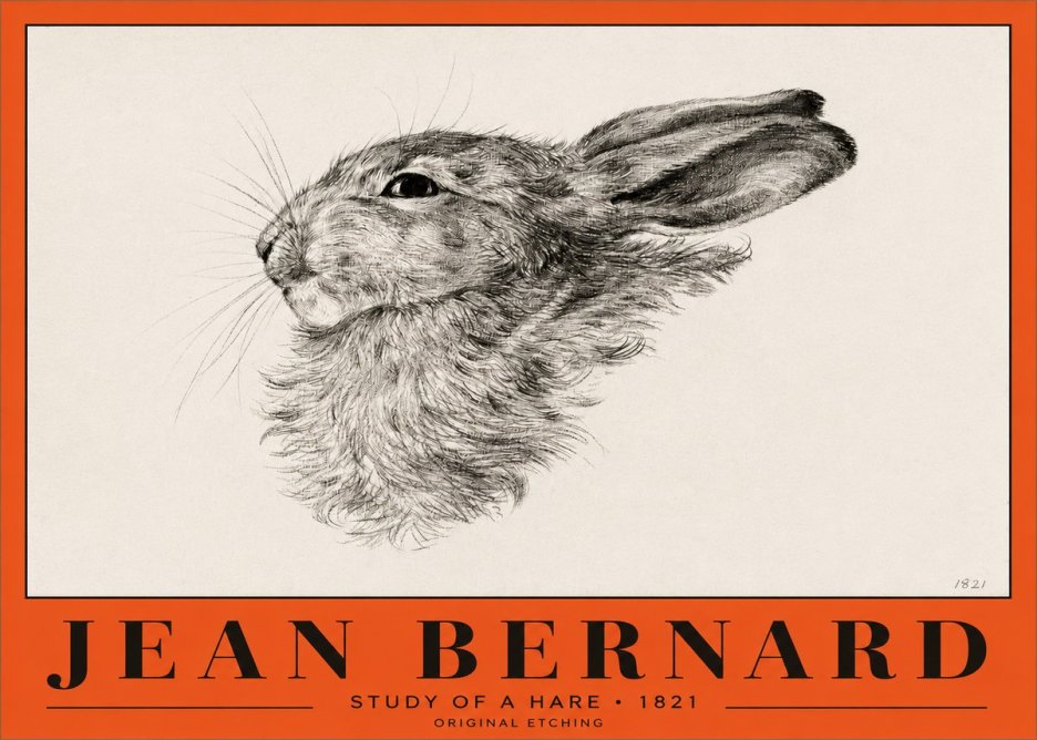 Jean Bernard Study of a Hare No2 - Plakat