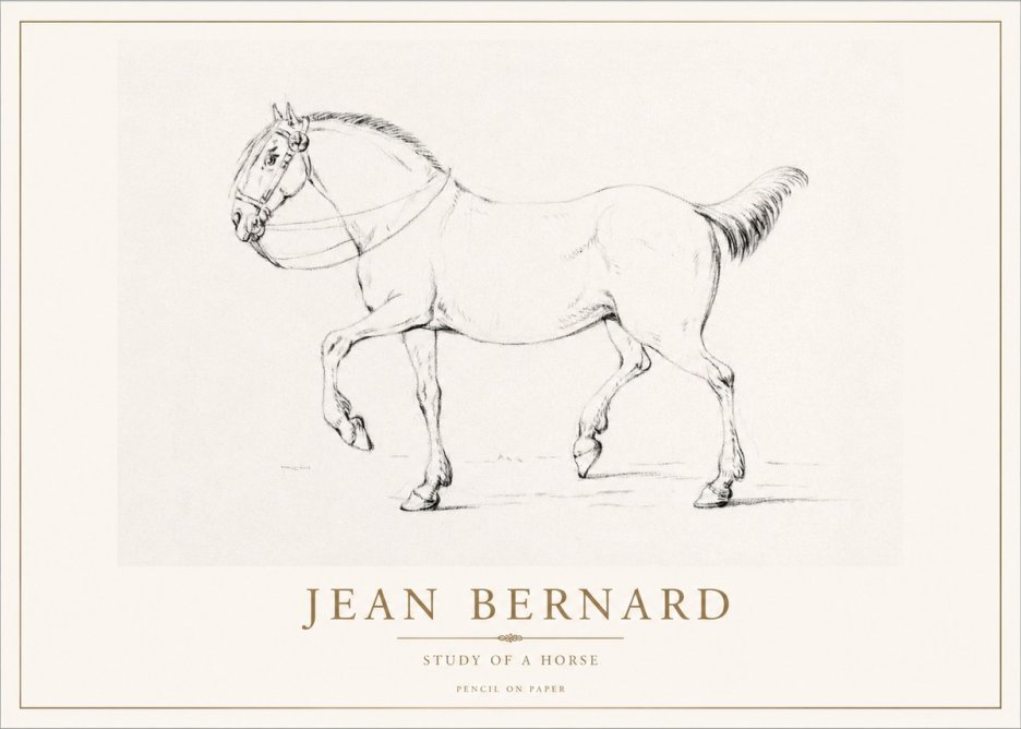 Jean Bernard Study of a Horse XVI No1 - Plakat