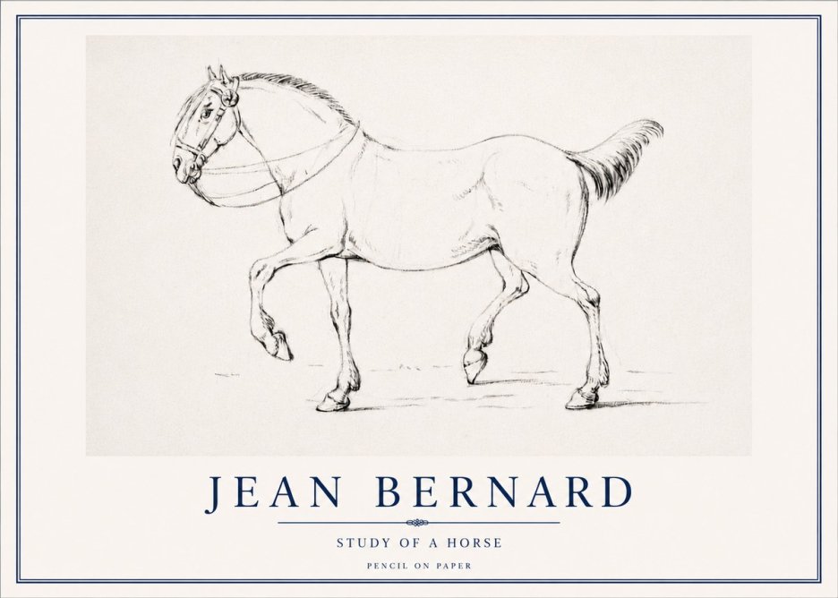 Jean Bernard Study of a Horse XVI No3 - Plakat