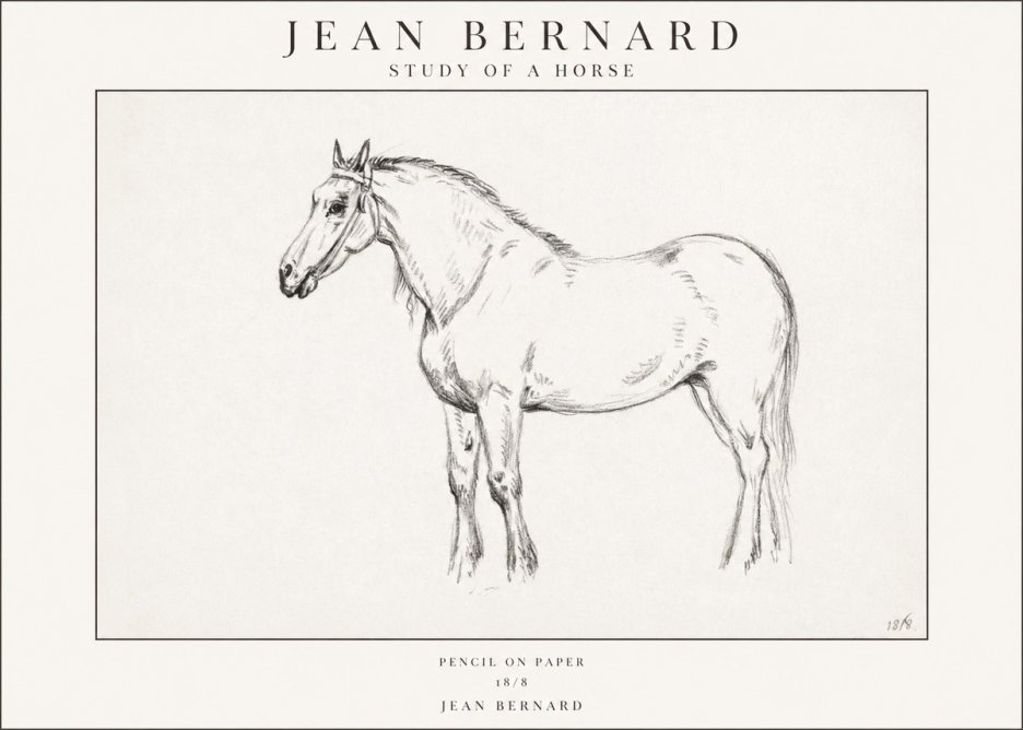 Jean Bernard Study of a Horse XVII No1 - Plakat