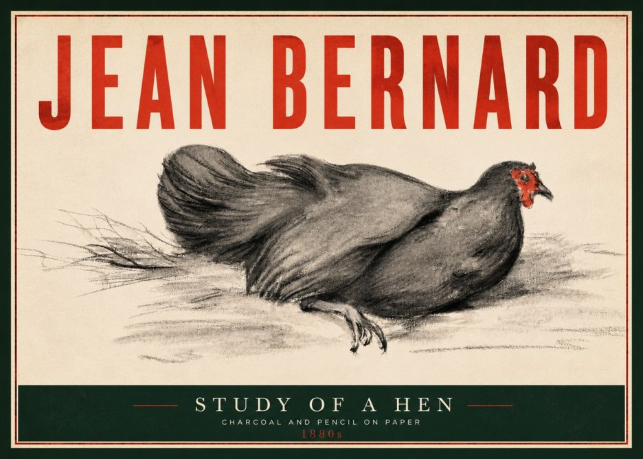 Jean Bernard Study of a Hen No4 - Plakat