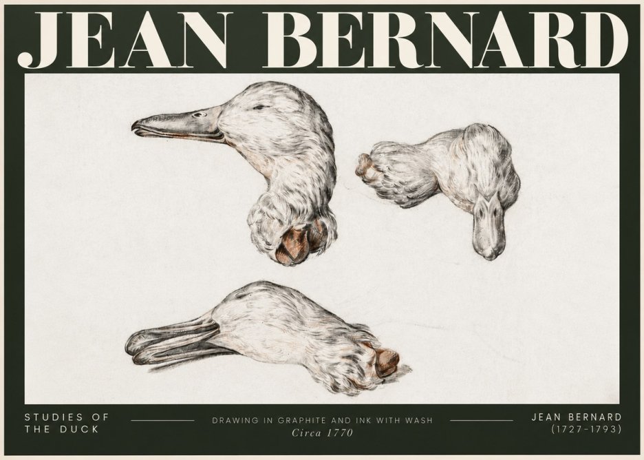 Jean Bernard Studies of the Duck No5 - Plakat