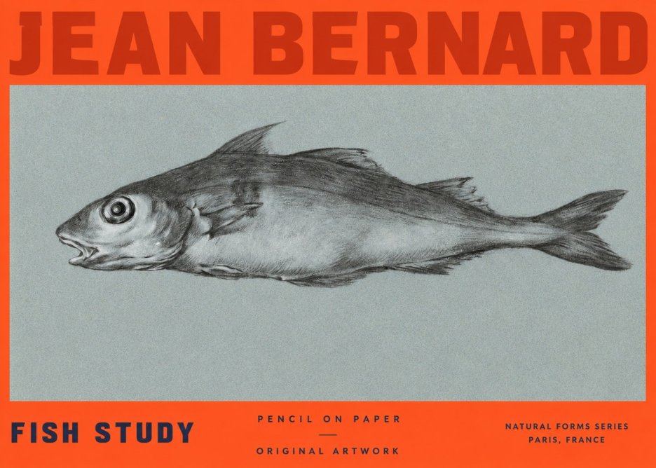 Jean Bernard Fish Study I No2 - Plakat