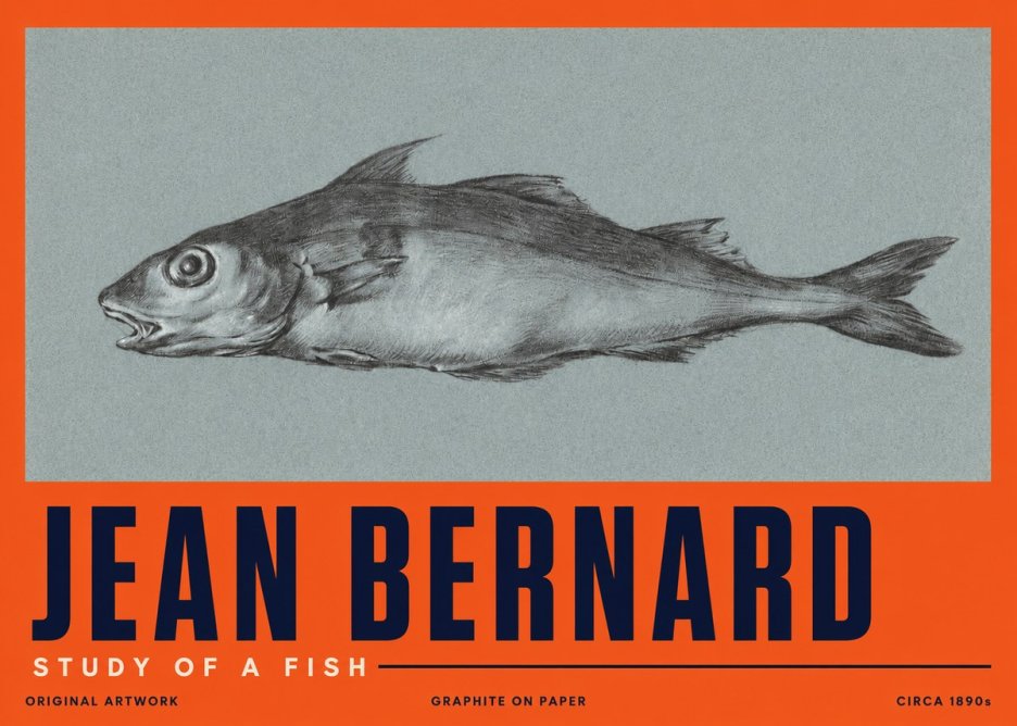 Jean Bernard Fish Study I No5 - Plakat