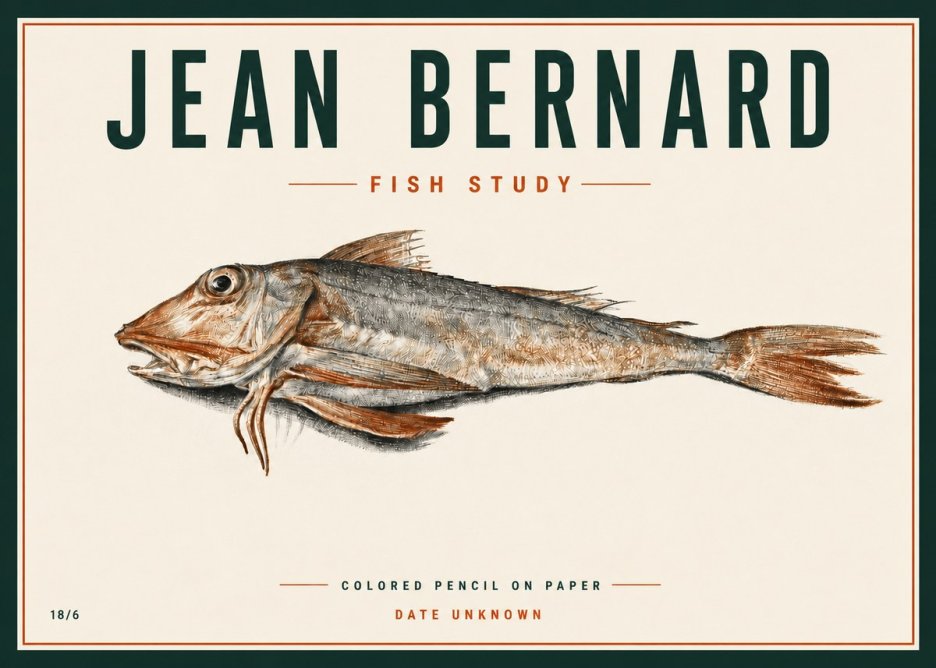 Jean Bernard Fish Study II No4 - Plakat