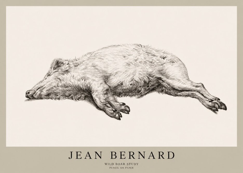 Jean Bernard Wild Boar Study No1 - Plakat
