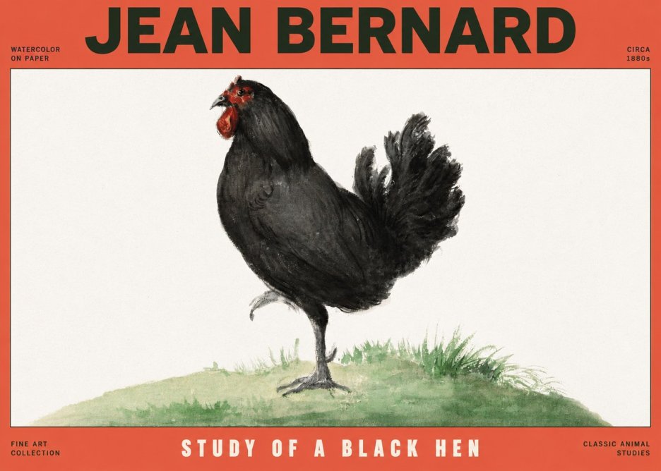 Jean Bernard Study of a Black Hen No2 - Plakat