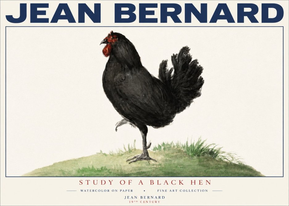 Jean Bernard Study of a Black Hen No4 - Plakat