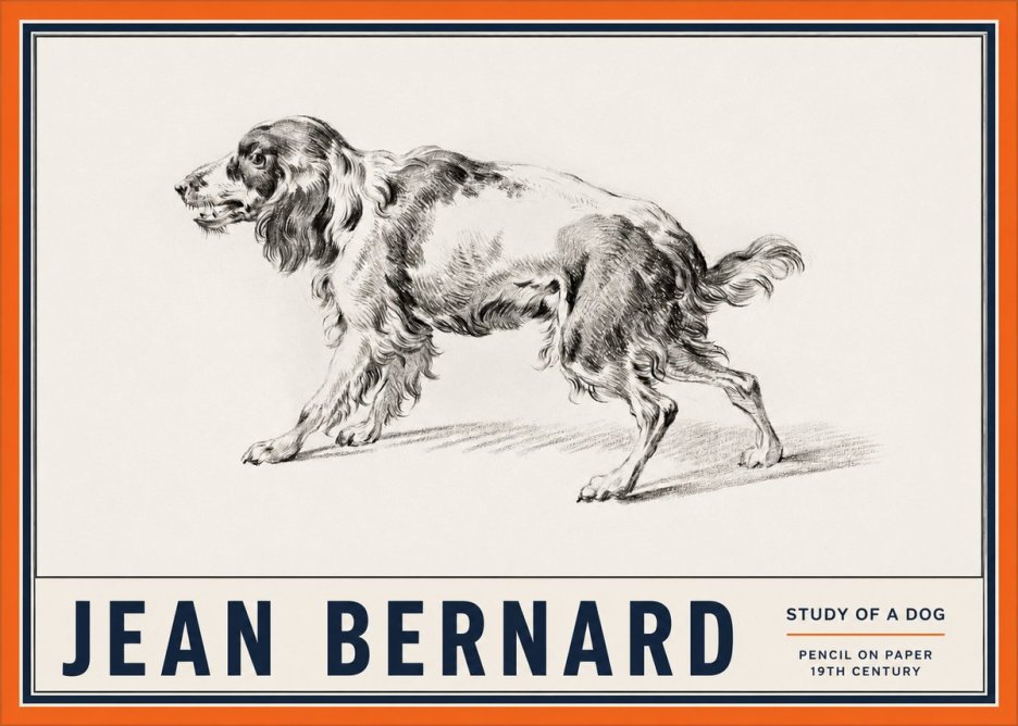 Jean Bernard Study of a Dog V No2 - Plakat