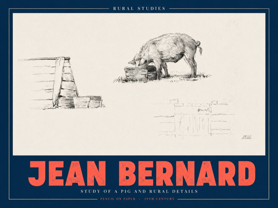 Jean Bernard Pig Study No3 - Plakat