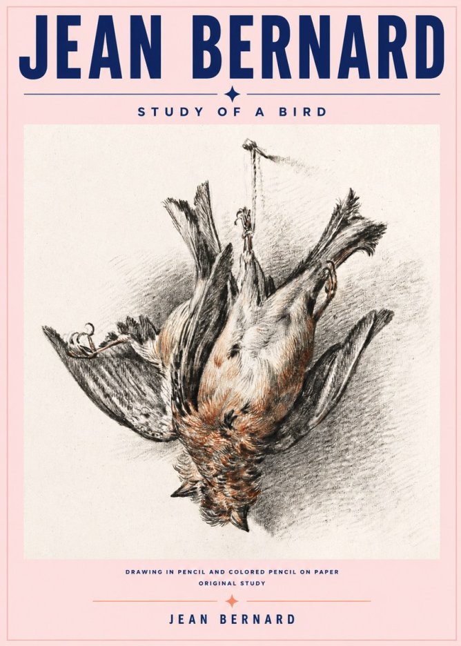 Jean Bernard Study of a Bird IV No6 - Plakat