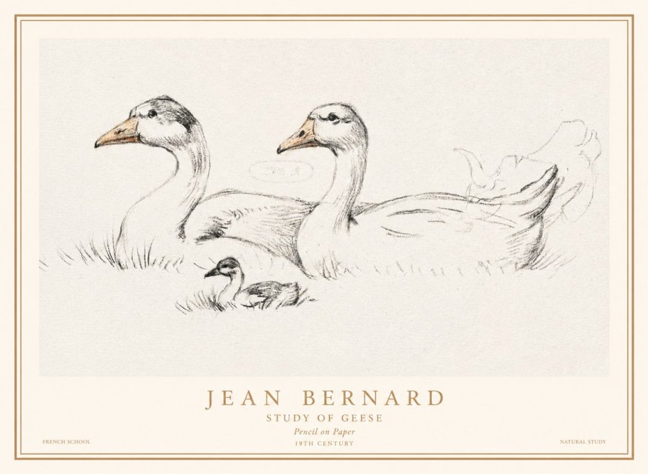 Jean Bernard Study of Geese No1 - Plakat