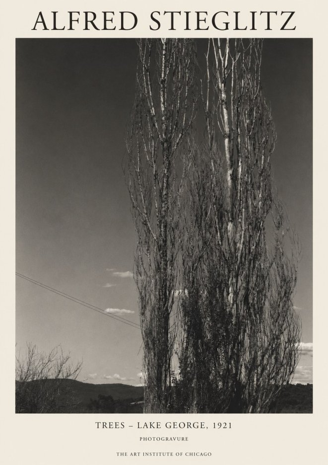 Alfred Stieglitz Trees - Lake George, 1921 No1 - Plakat