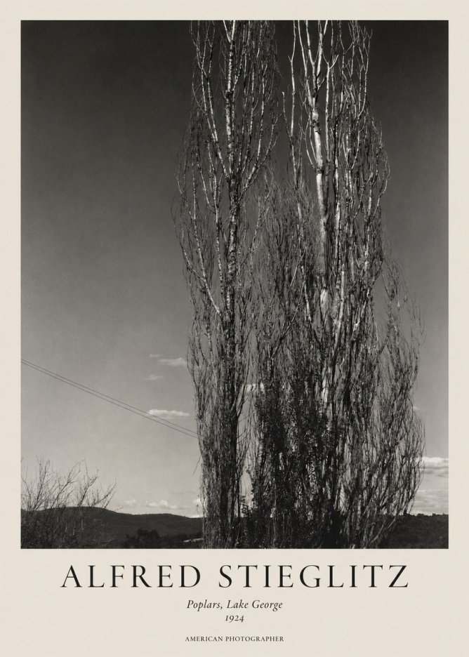 Alfred Stieglitz Trees - Lake George, 1921 No2 - Plakat