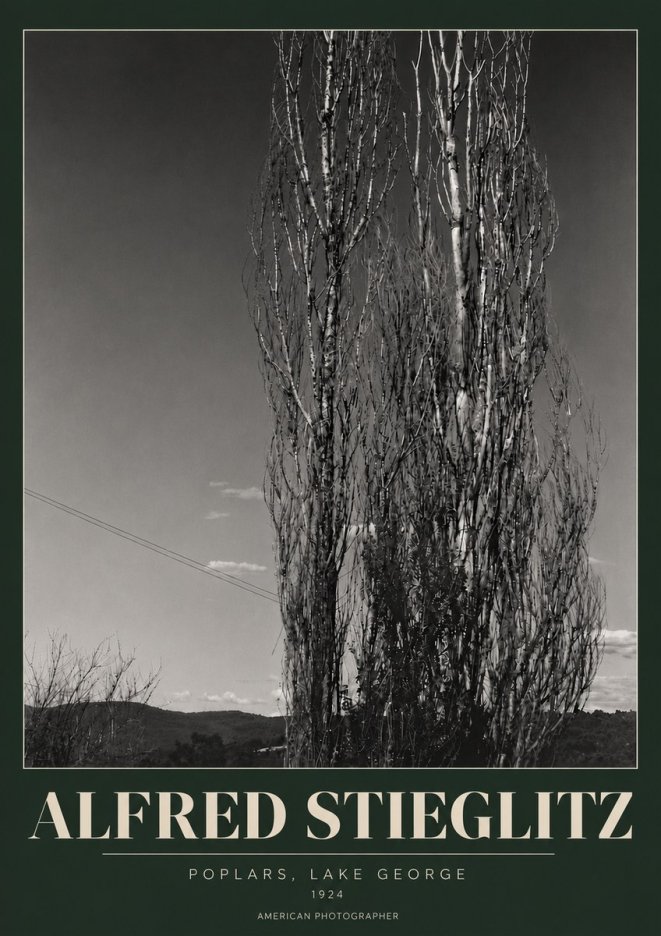 Alfred Stieglitz Trees - Lake George, 1921 No6 - Plakat