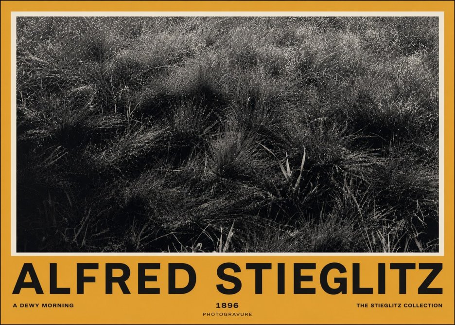 Alfred Stieglitz A Dewy Morning No4 - Plakat