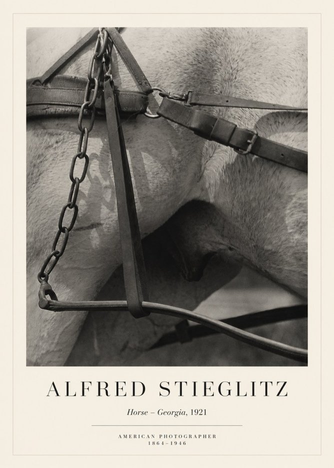 Alfred Stieglitz The Steerage I No6 - Plakat