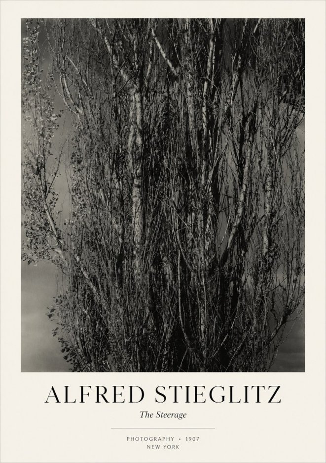 Alfred Stieglitz The Steerage II No3 - Plakat