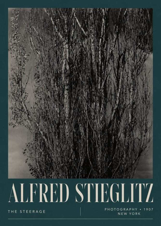 Alfred Stieglitz The Steerage II No5 - Plakat