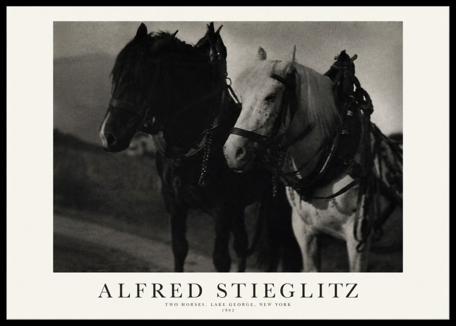 Alfred Stieglitz Two Horses, Lake George, New York No1 - Plakat