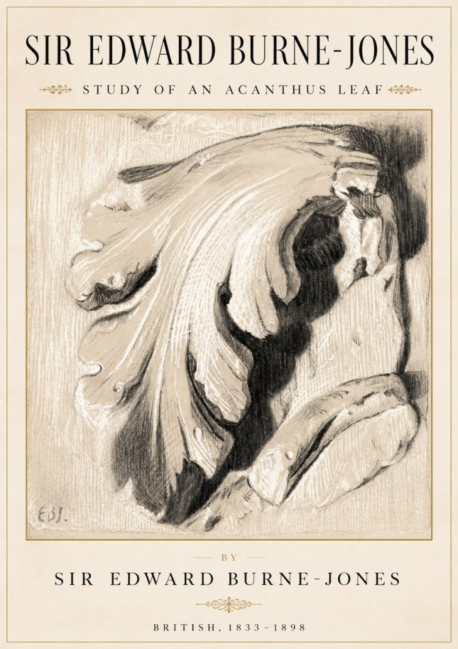 Edward Burne-Jones Study of an Acanthus Leaf No2 - Plakat