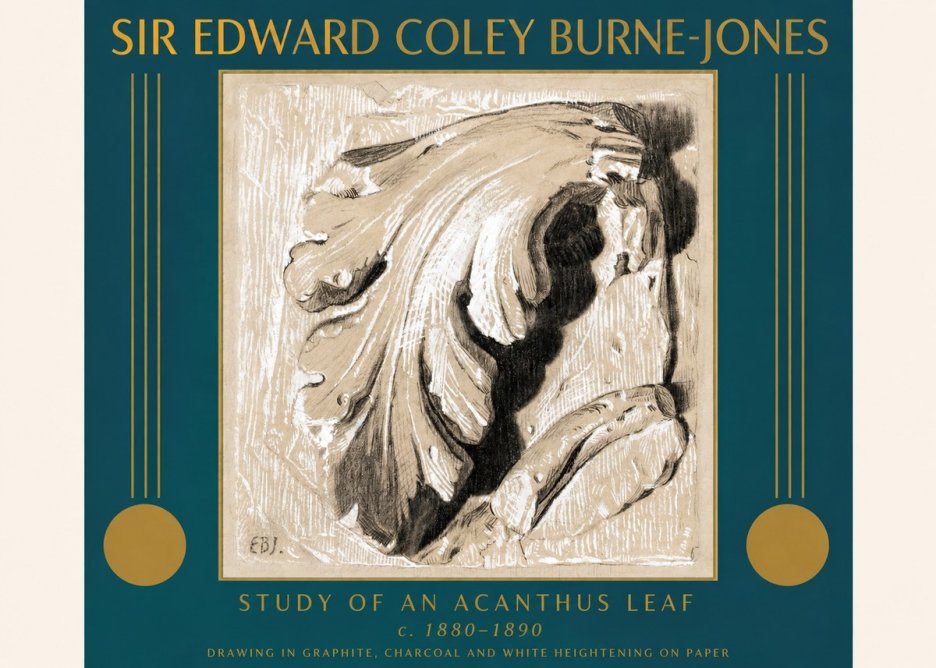 Edward Burne-Jones Study of an Acanthus Leaf No3 - Plakat
