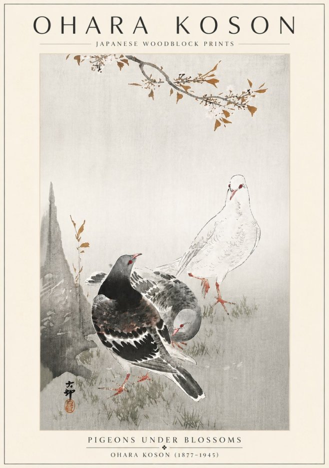 Ohara Koson Pigeons Under Blossoms No6 - Plakat