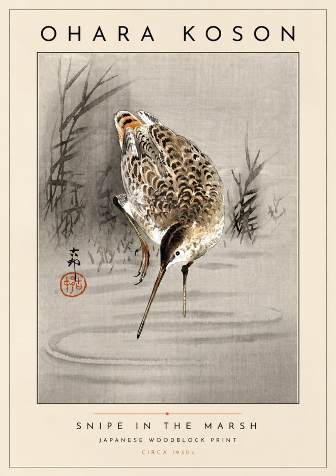 Ohara Koson Snipe in the Marsh No4 - Plakat